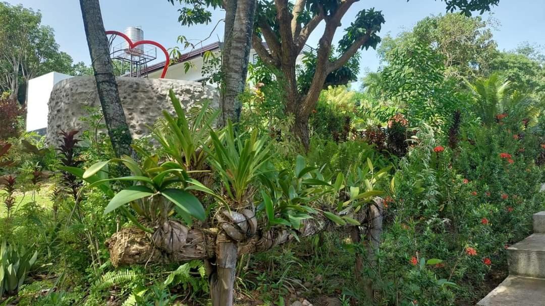 Matteo'S Hus Villa Rental Zamboanguita  Exterior foto